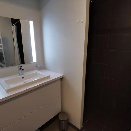 Appartement Cosy Cote Cour, Acces Plage, Piscine, Balcon, Parking, Animaux Admis, - Fr-1-194-228